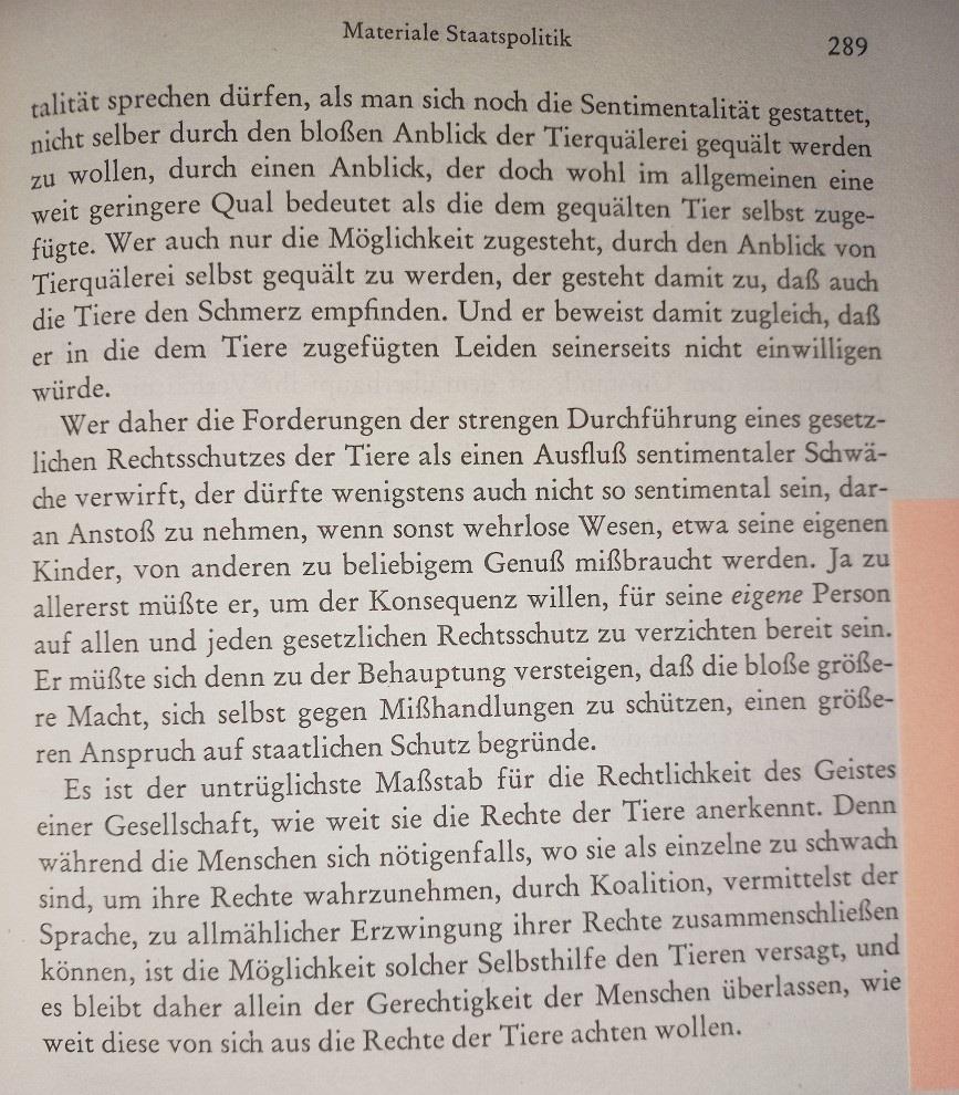 Nelson: Band 6, System der philosophischen Rechtslehre und Politik